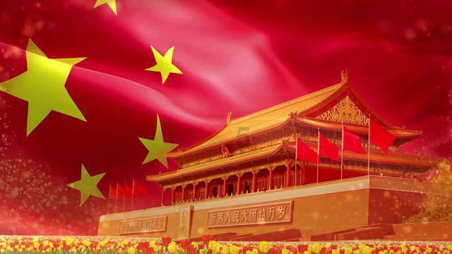 动物拼一拼